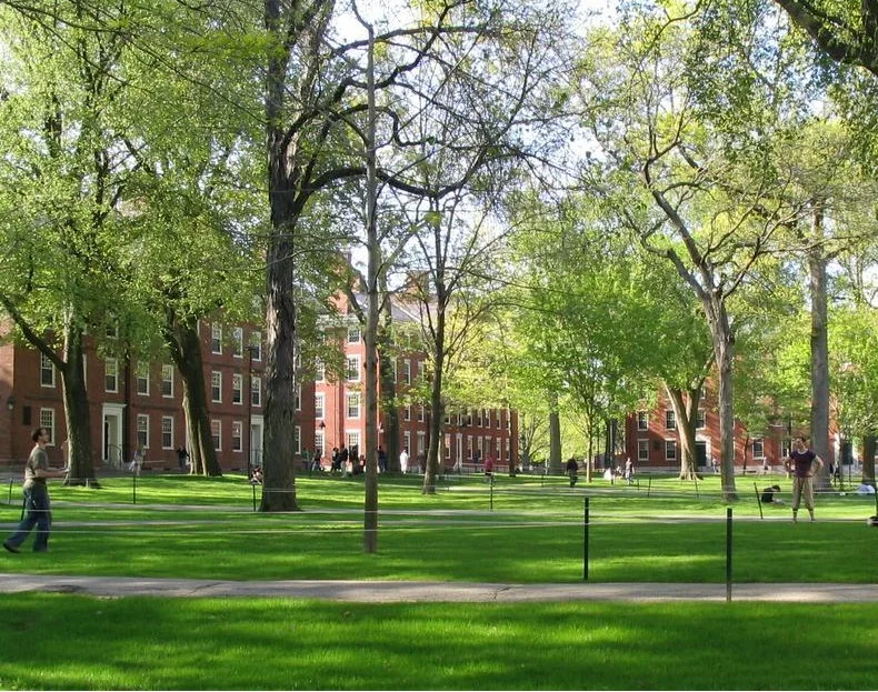 Árvores e gramados de Harvard Yard, nos Estados Unidos.