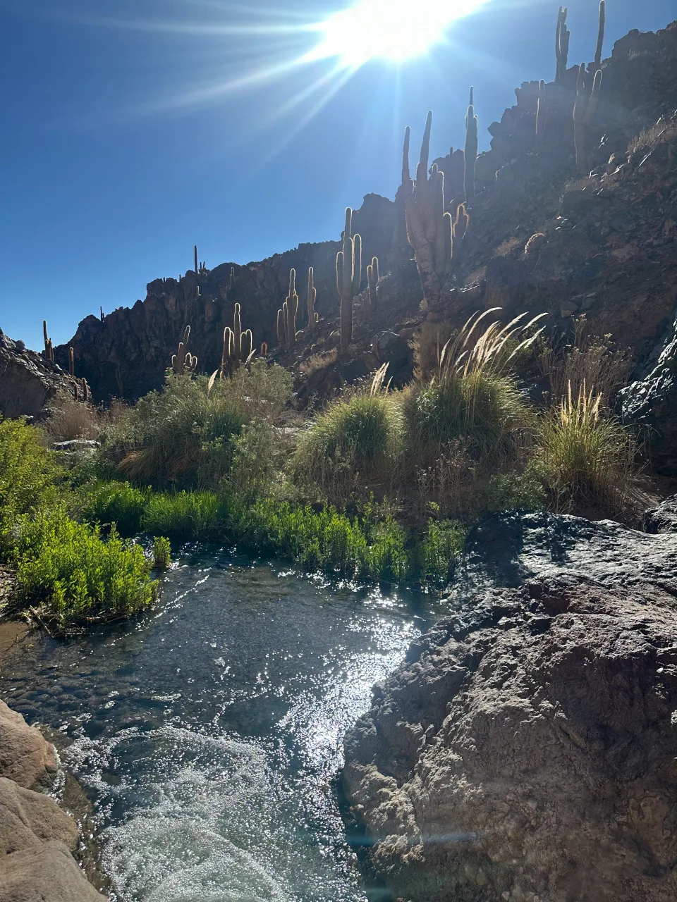 Atacama