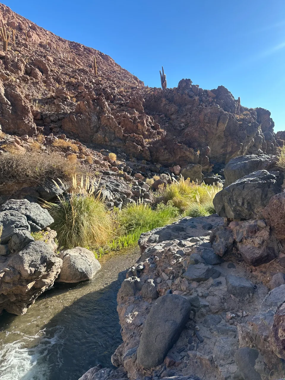 Atacama